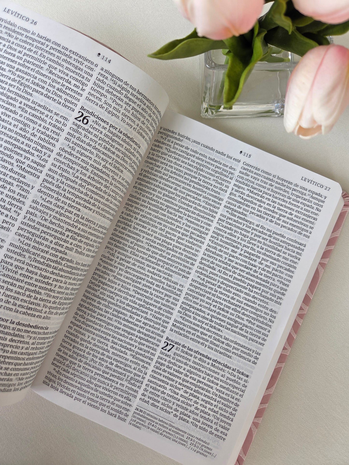 Biblia NTV | Letra Grande SentiPiel Rosa Filament