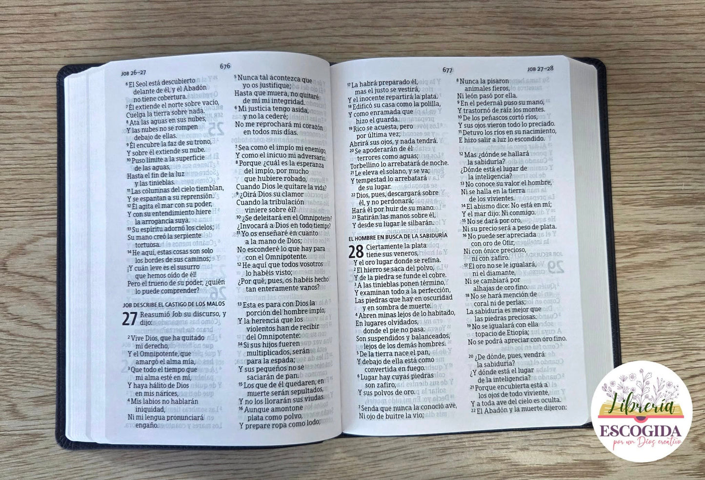 Biblia Letra Grande Tamaño Manual