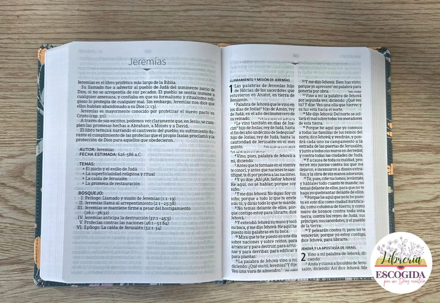 Biblia Letra Grande Tamaño Manual