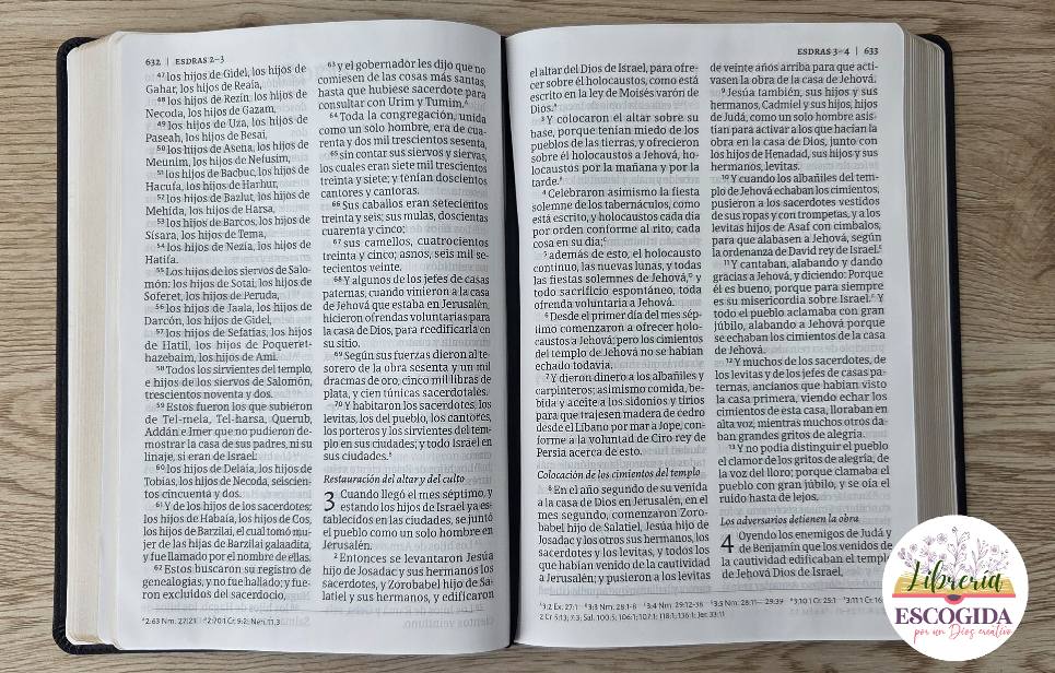 Biblia Reina Valera Letra Supergigantesca