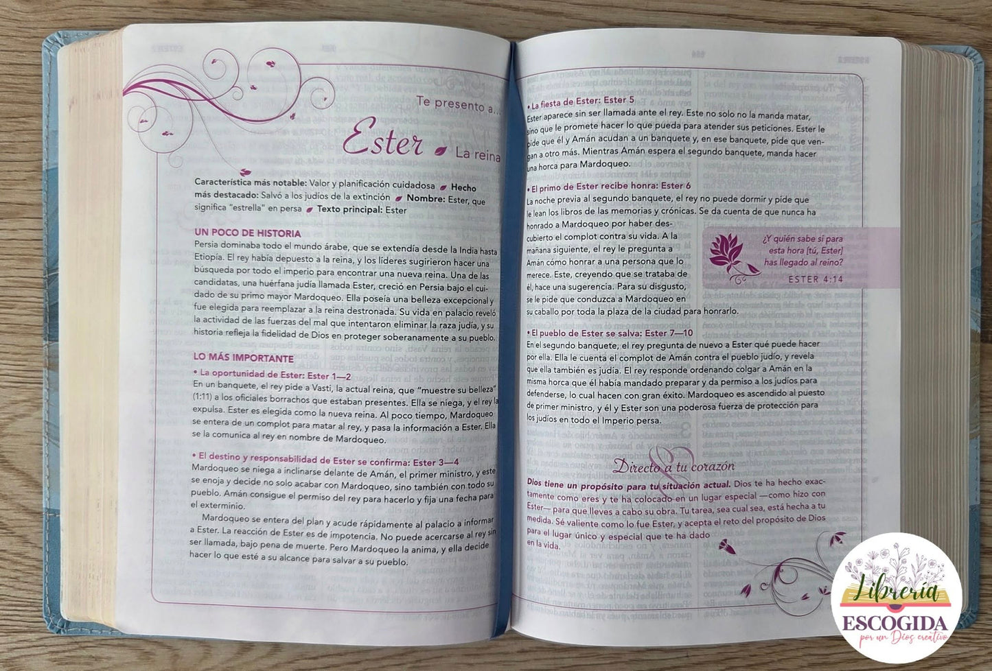 Biblia de la Mujer Conforme al Corazón de Dios