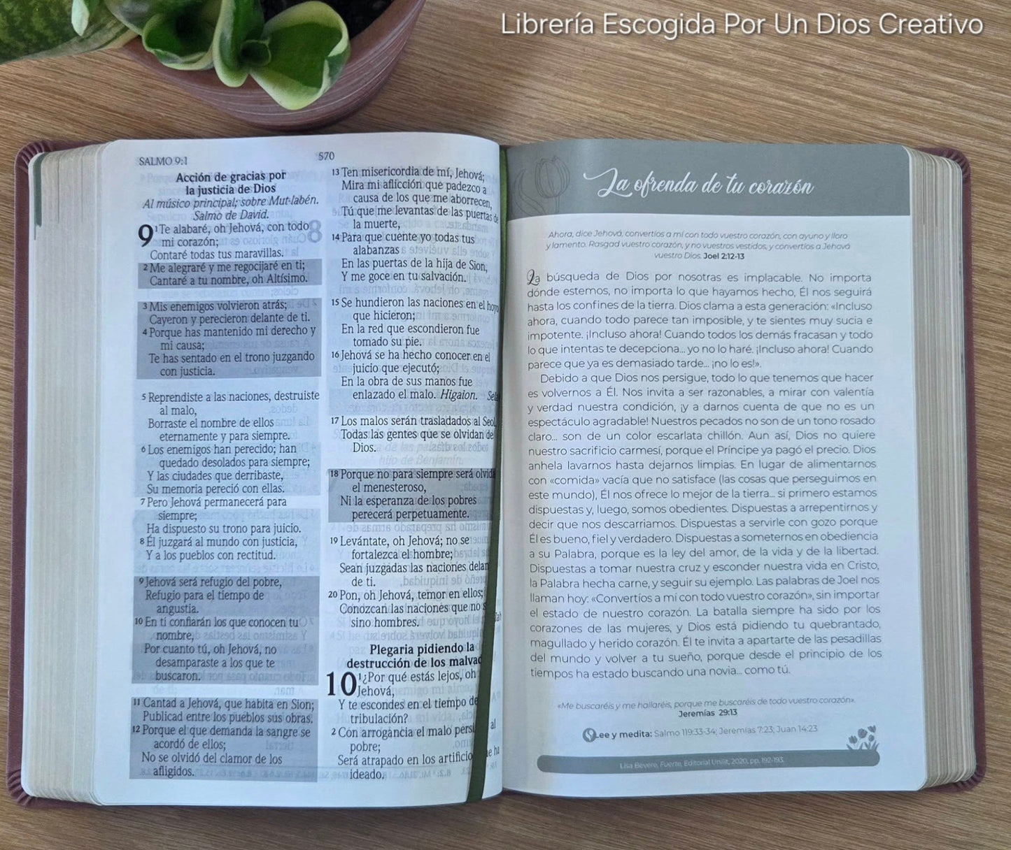 Biblia de Promesas RVR-1960, Virtuosa, Letra gigante, Piel especial, Rosa