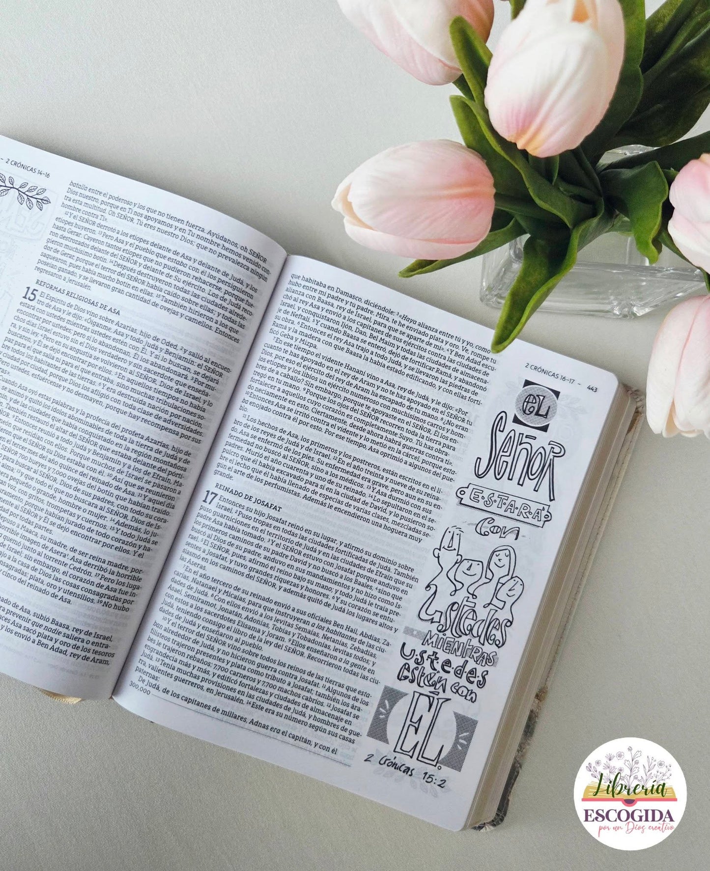 Biblia NBLA | Edición Artística Ilustrada