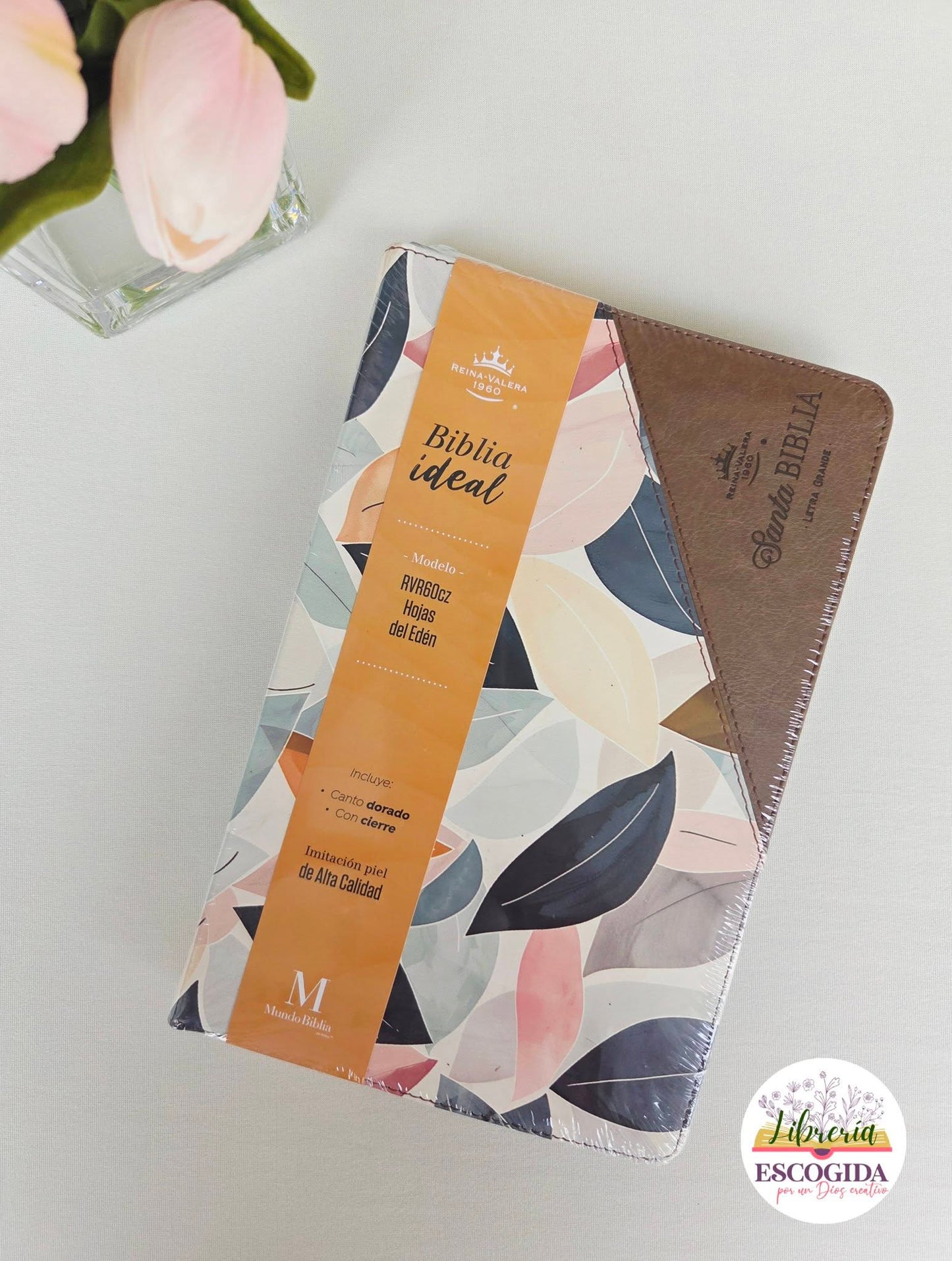Biblia Ideal RVR60 | Hojas de esplendor con cierre