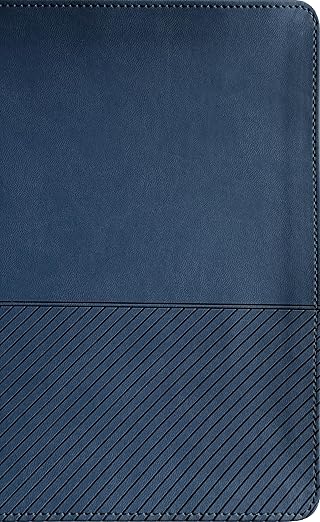 Biblia NTV | Estudio Diario Vivir para Jóvenes