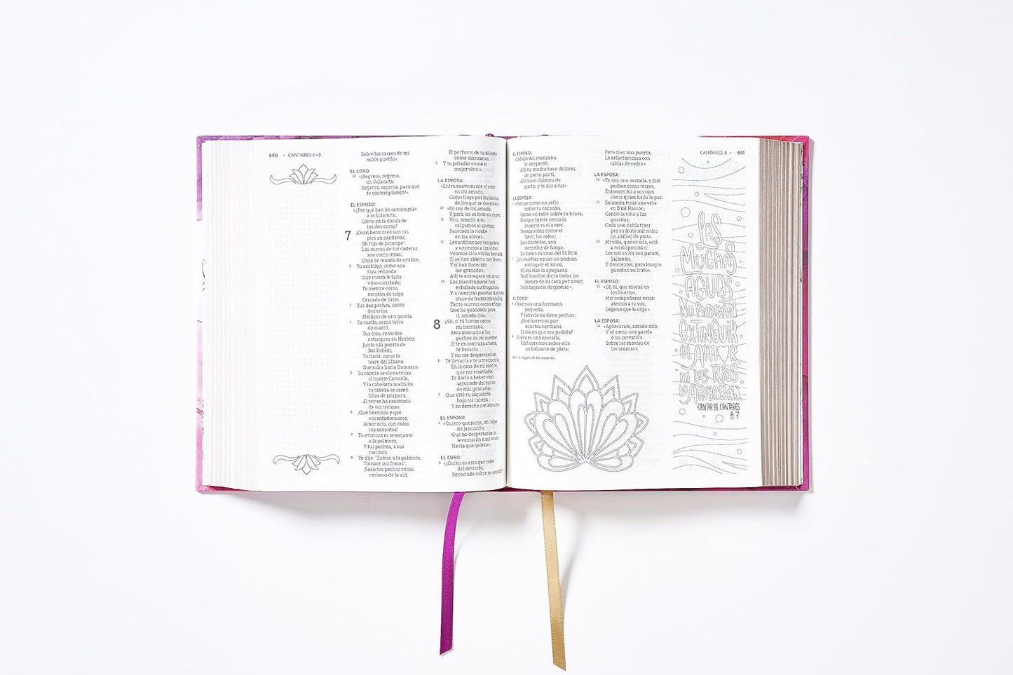 Santa Biblia Edición Artística Ilustrada NBLA