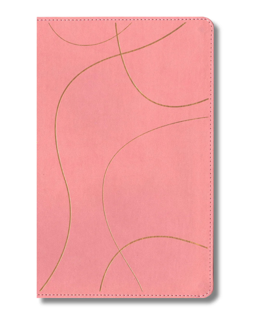 Biblia NTV | Estudio Diario Vivir para Jóvenes