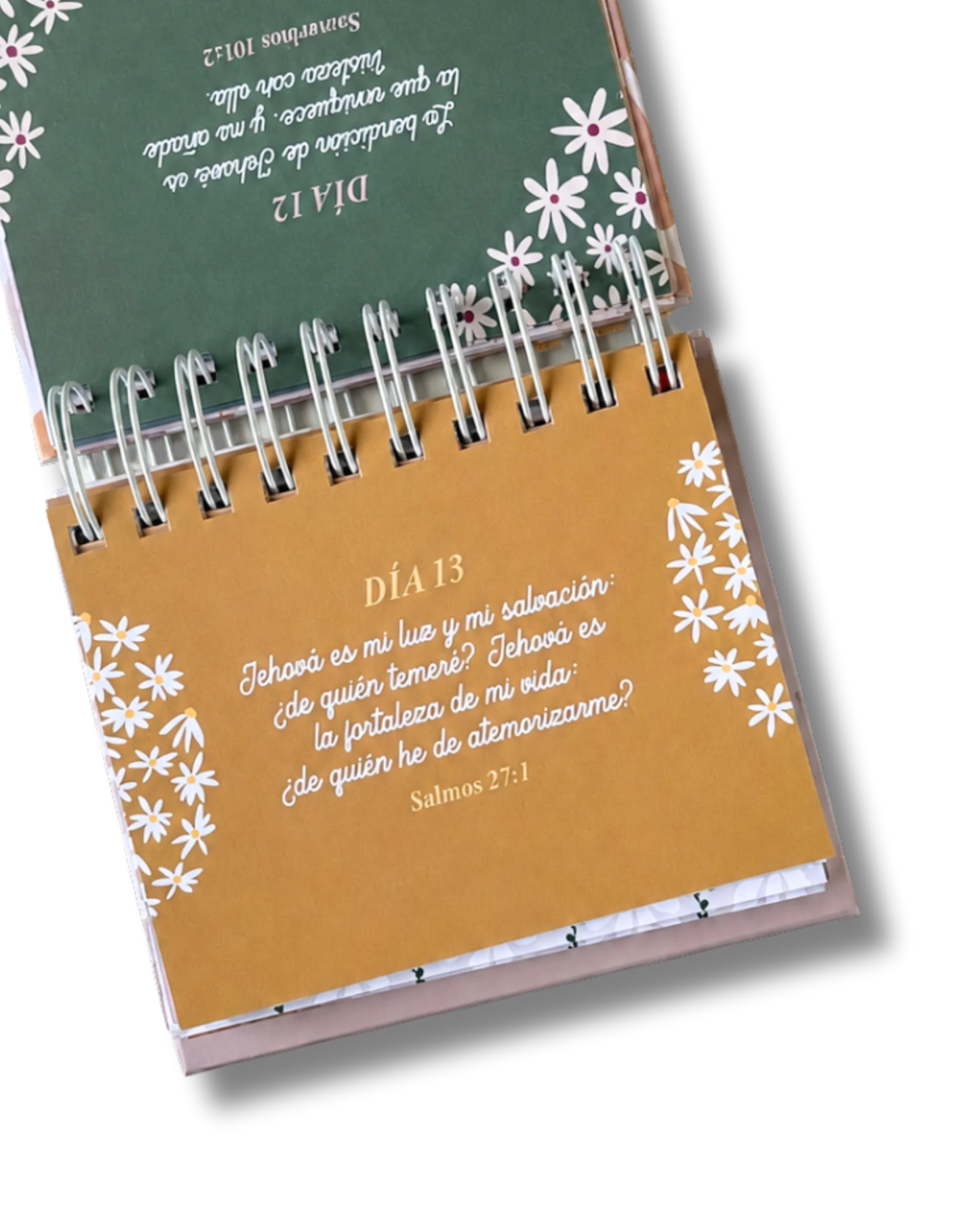Calendario Perpetuo de Mesa | Un Día a la Vez en Salmos y Proverbios