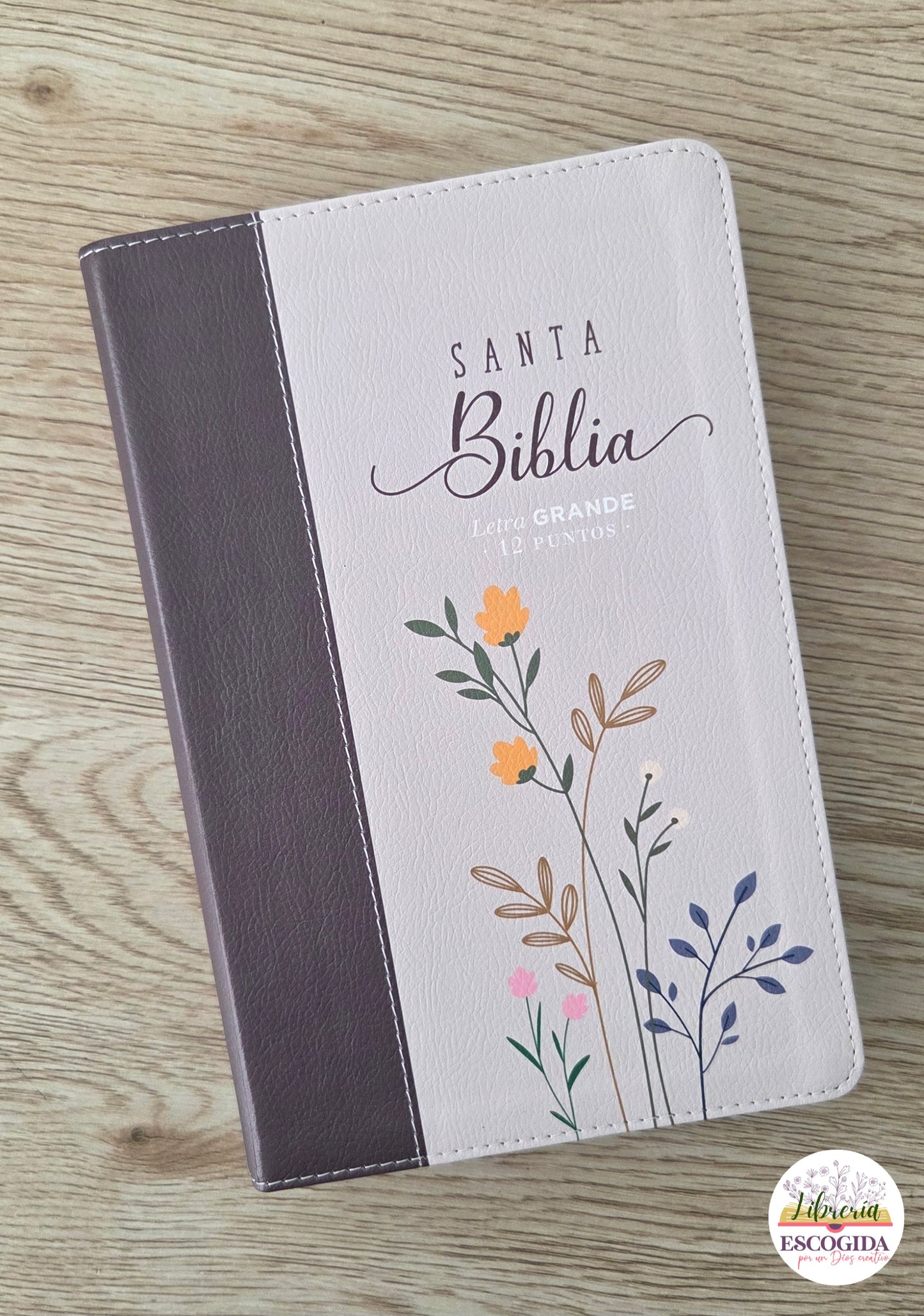 Santa Biblia Letra GRANDE -12 puntos-