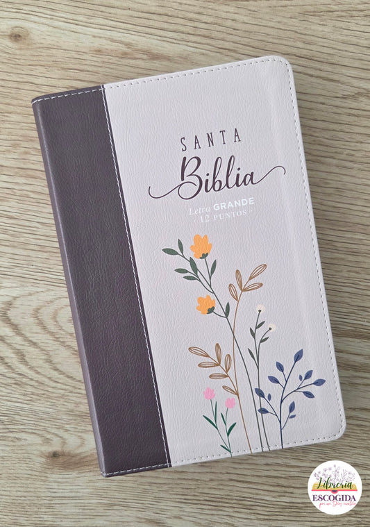 Santa Biblia Letra GRANDE -12 puntos-