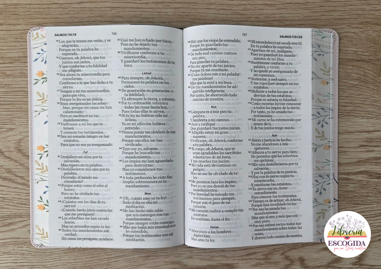 Santa Biblia Letra GRANDE -12 puntos-
