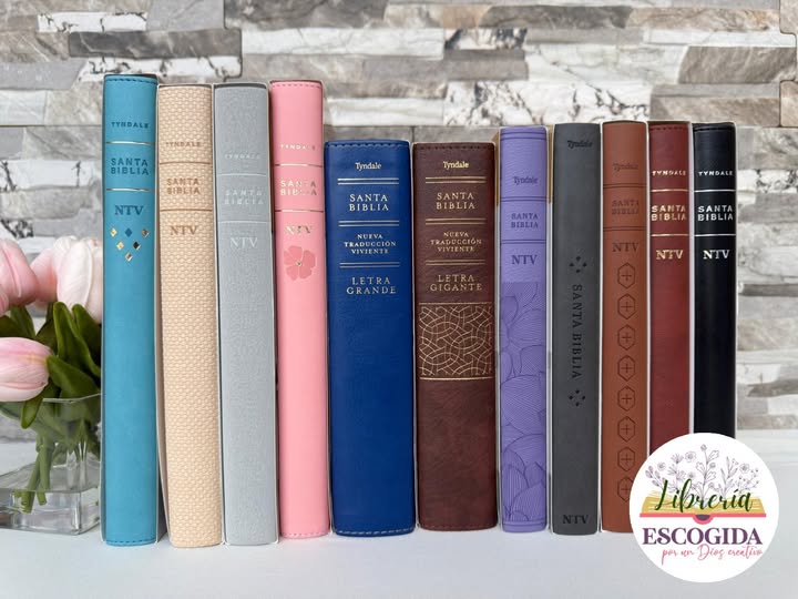 Biblia Nueva Traducción Viviente