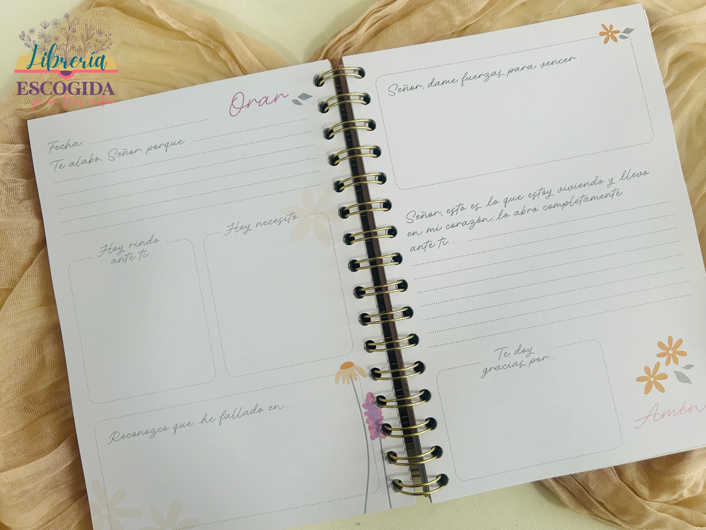 Mis Notas de la Palabra | Lila