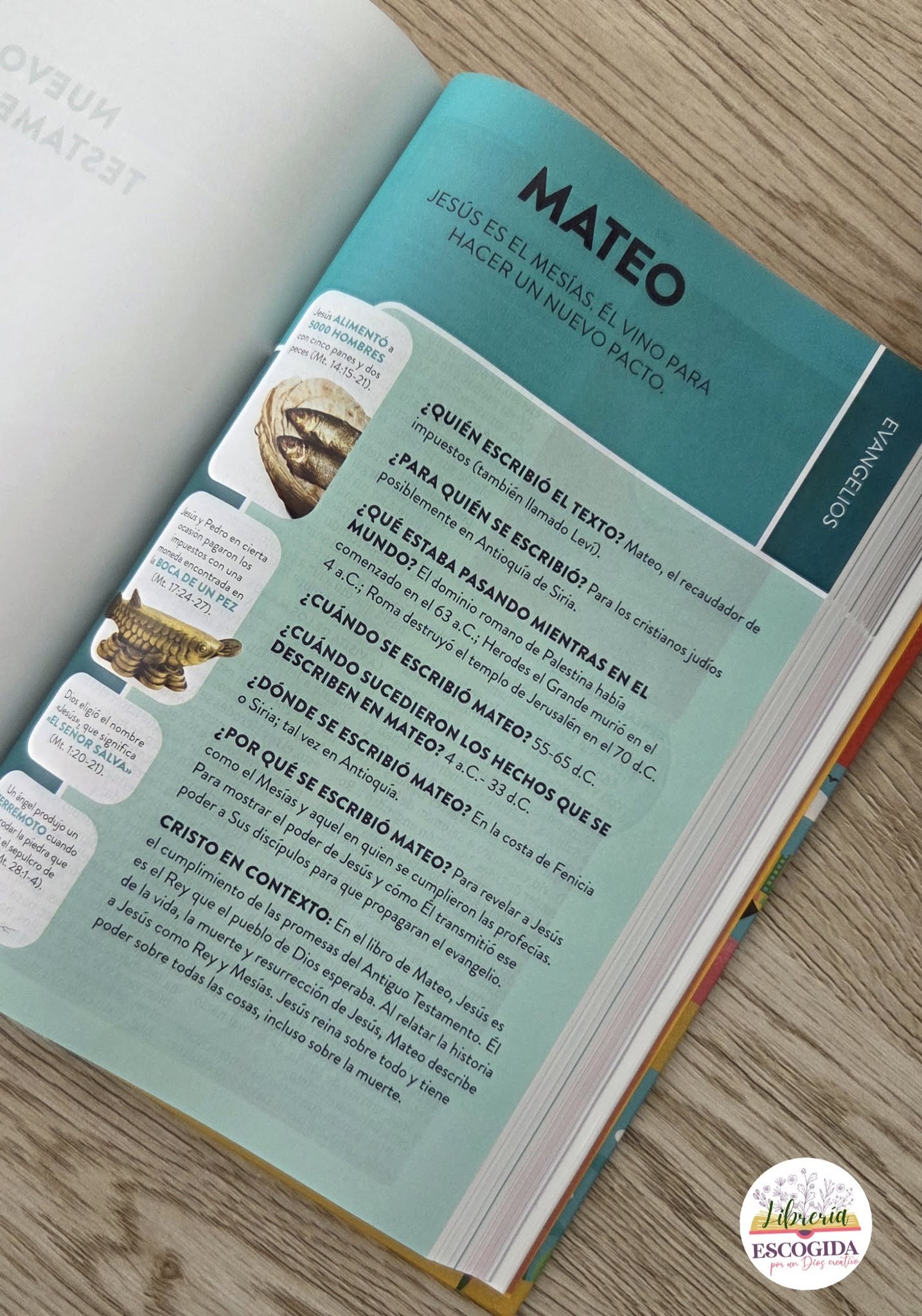 Biblia Para Niños Exploradores