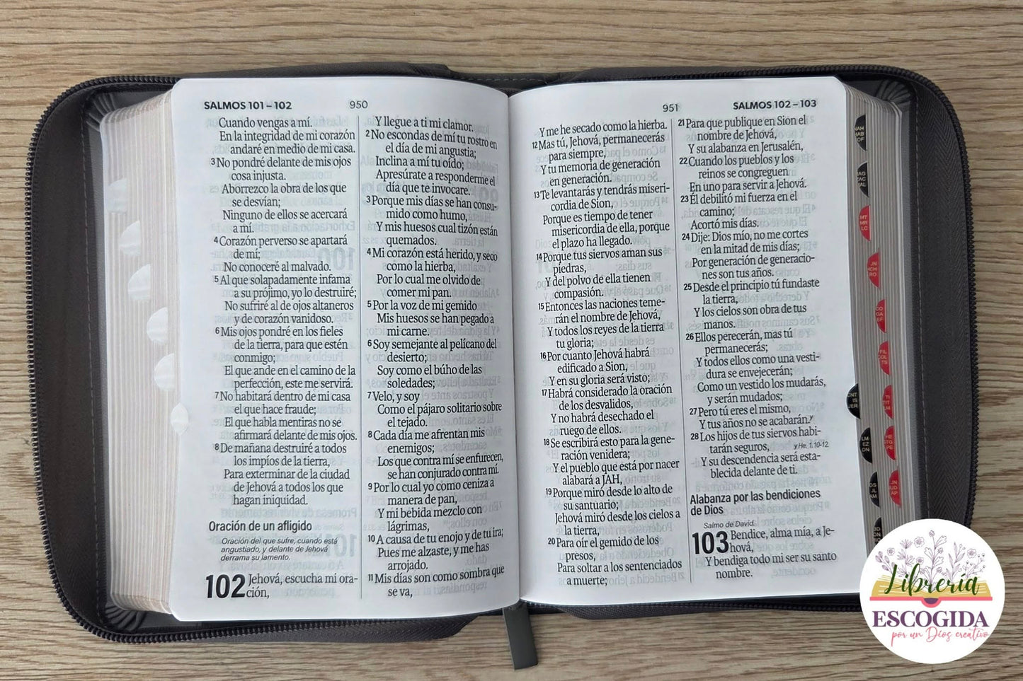 Biblia Letra Grande Tamaño Portátil