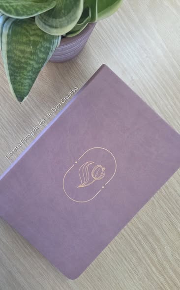 Biblia de Promesas RVR-1960, Virtuosa, Letra gigante, Piel especial, Rosa