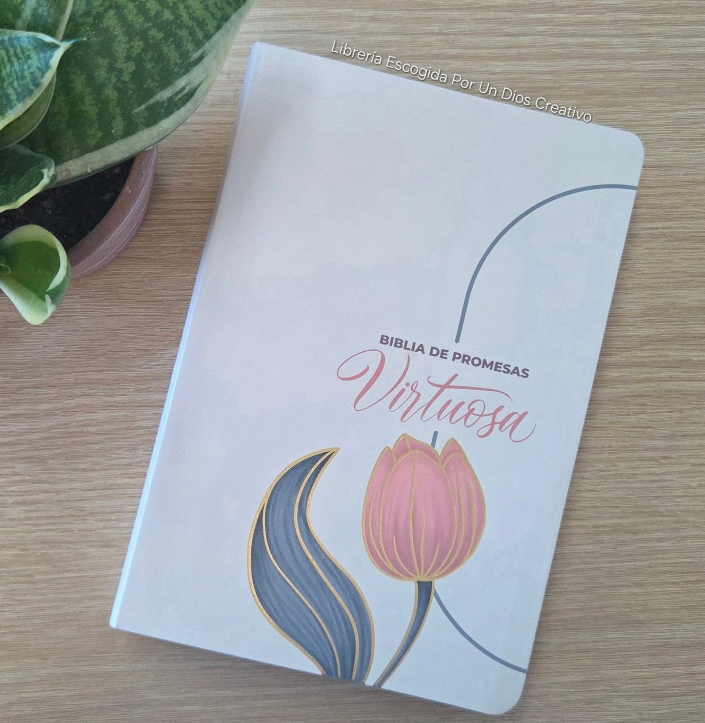 Biblia de Promesa RVR-1960, Virtuosa, Letra gigante, Piel especial, Crema