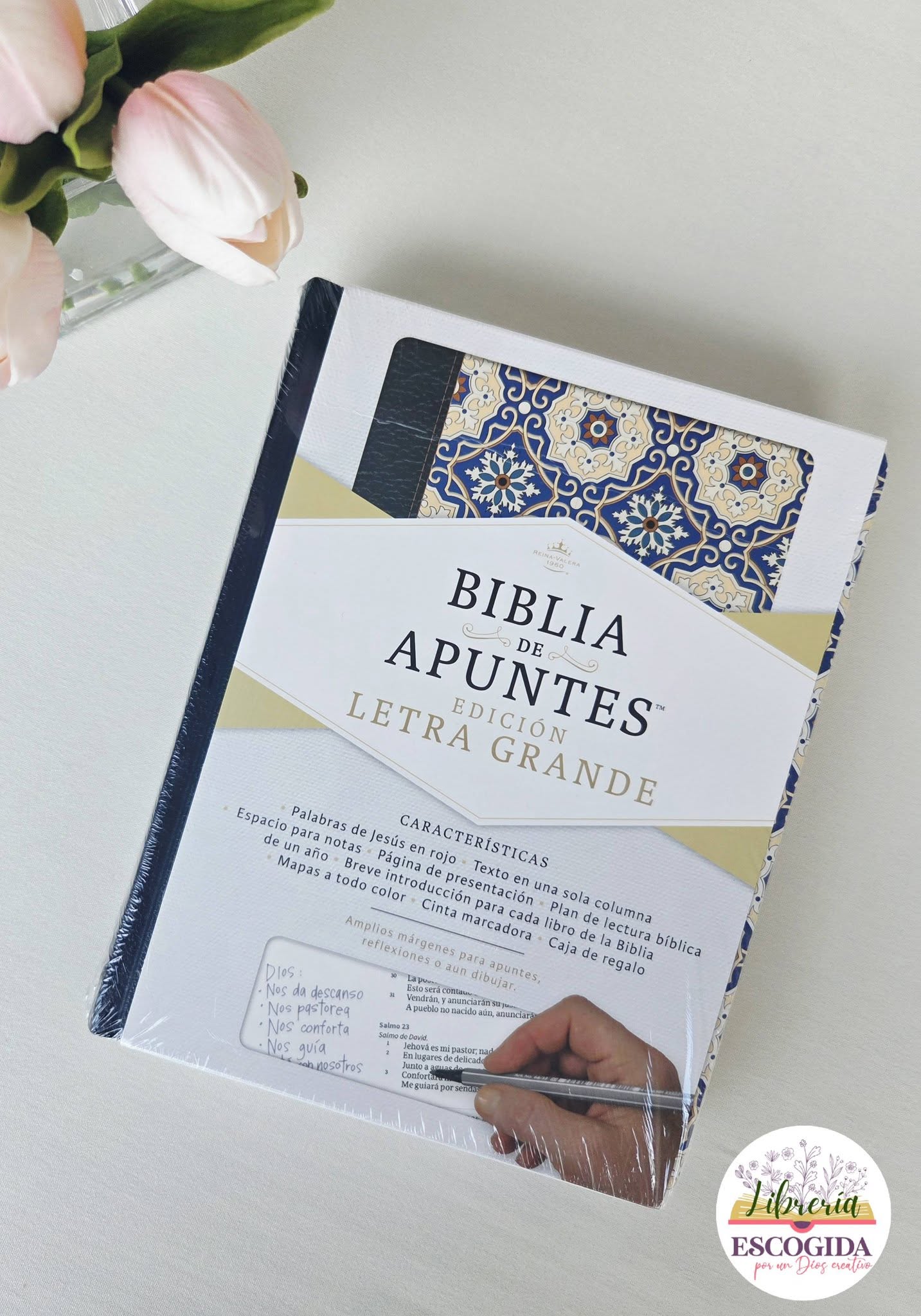Biblia de Apuntes Letra Grande
