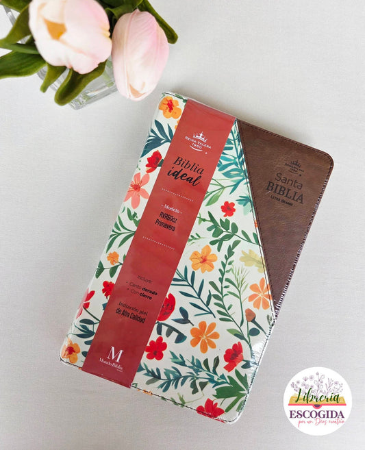 Biblia ideal RVR60 | natura \café