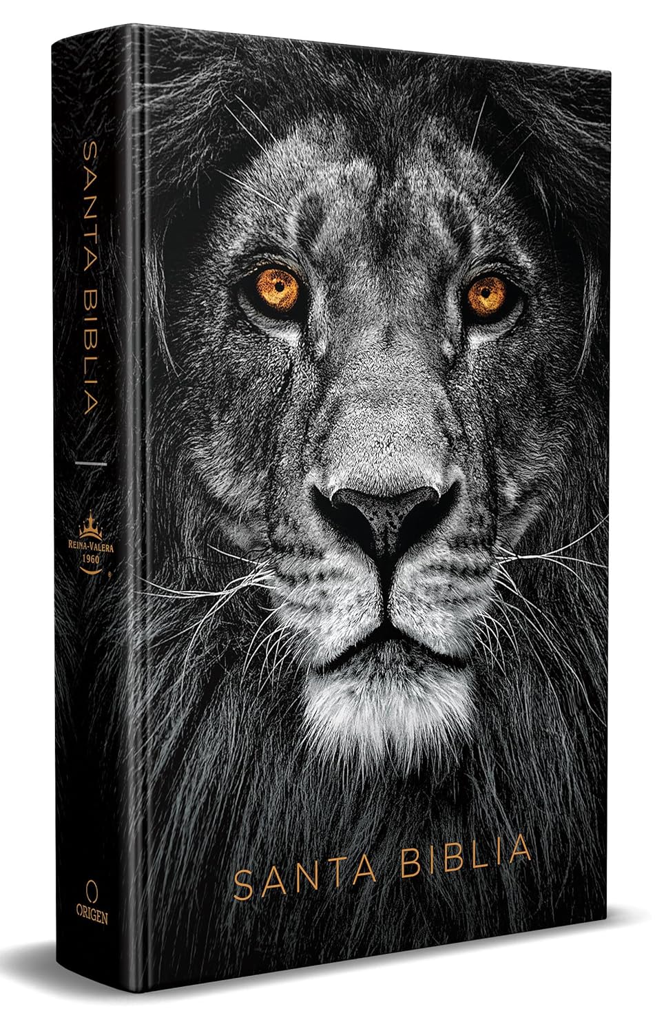 Biblia Reina Valera Leon de Judá
