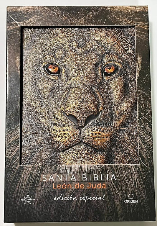 Biblia RVR1960 | León de Judá Bronce
