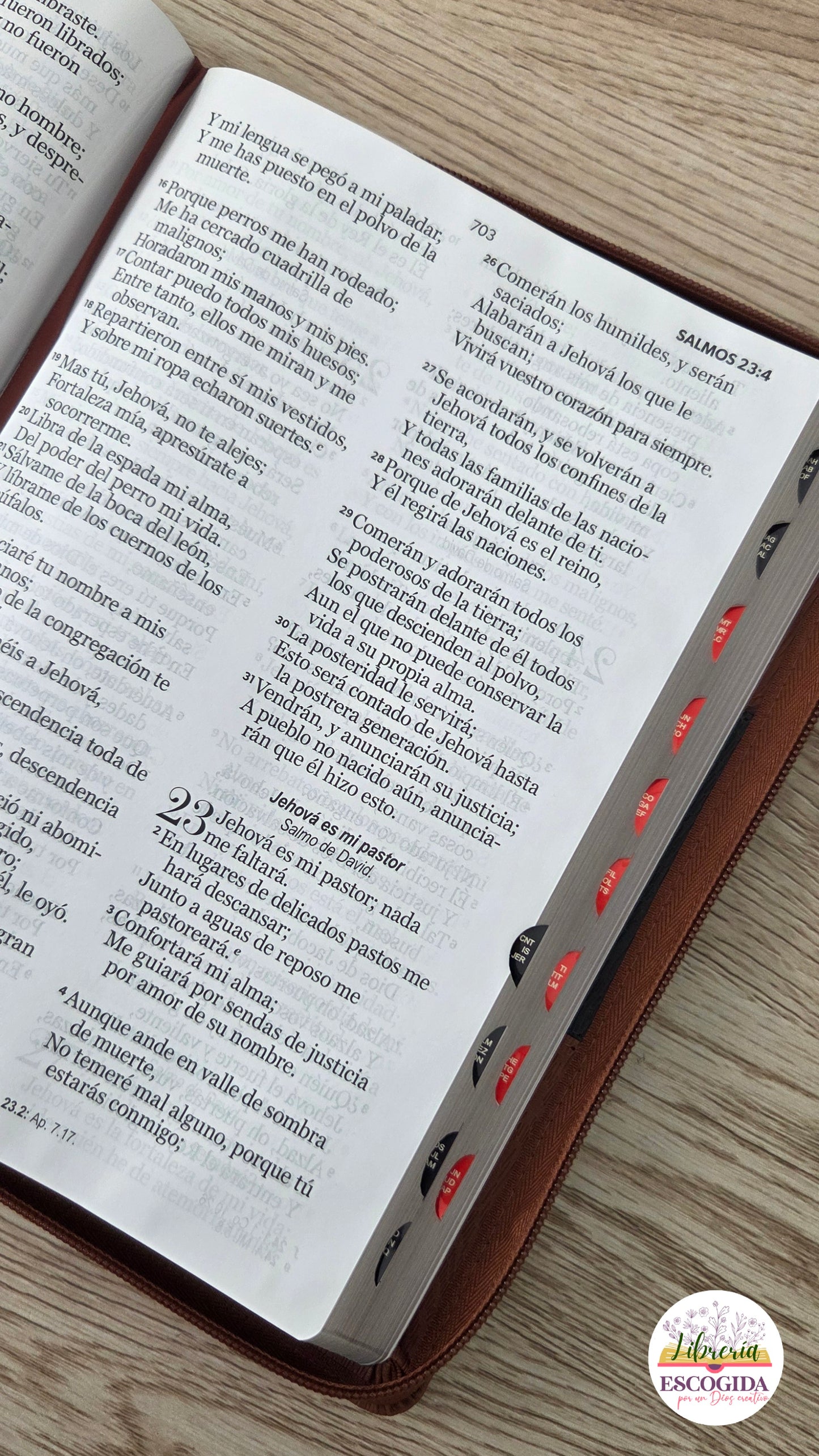 Santa Biblia - Reina Valera 1960 - Letra Gigante